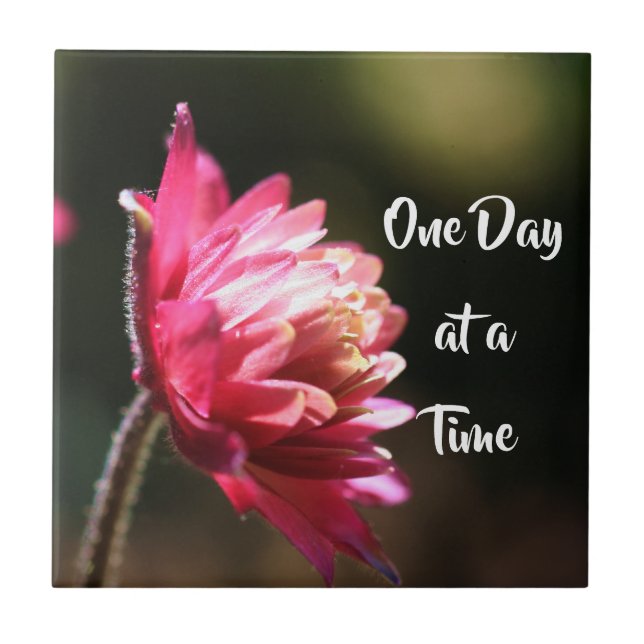 Azulejo One Day At A Time Quote Flower In Sunlight  (Frente)