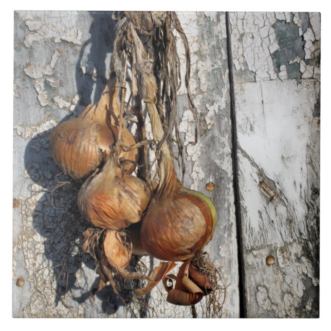 AZULEJO ONGS (Frente)