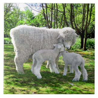 Azulejo "Oona y sus gemelos"