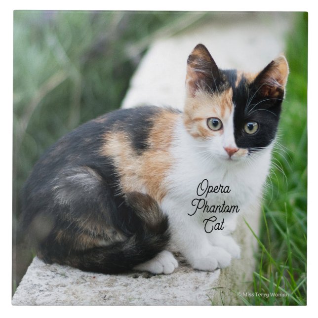 Azulejo Opera Gato fantasma (Frente)