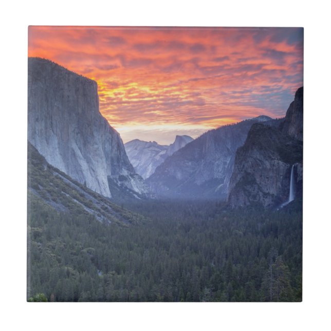 Azulejo Opinión del túnel de Yosemite (Frente)