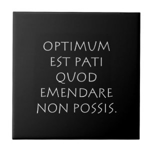 Azulejo Optimum est pati quod emendare non possis
