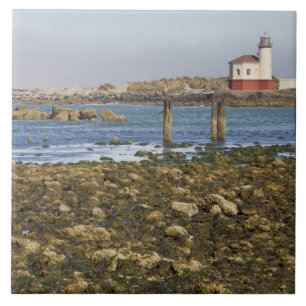 Azulejo OR, Costa de Oregón, Bandon, Río Coquille