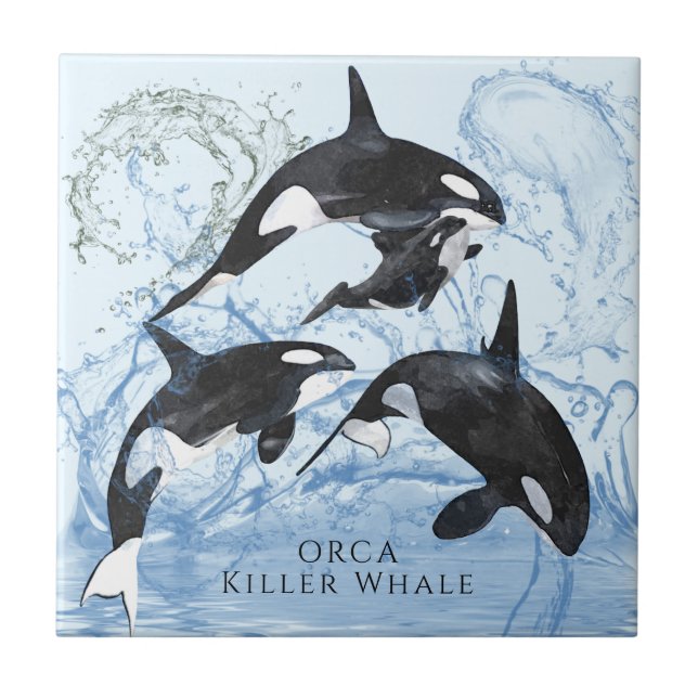 Azulejo Orcas de acuarela blanca y negra increíbles (Frente)