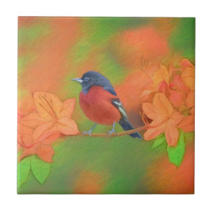 Azulejo Orchard Oriole Songbird Pintura original de aves
