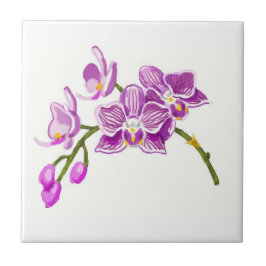 Azulejo Orchids 