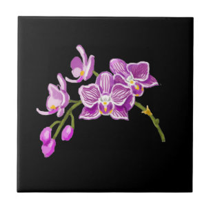 Azulejo Orchids