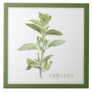 Azulejo OREGANO FRESCO 6x6 Tile cerámico (+texto) Verde