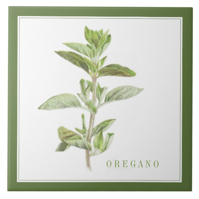 Azulejo OREGANO FRESCO 6x6 Tile cerámico (+texto) Verde (Frente)