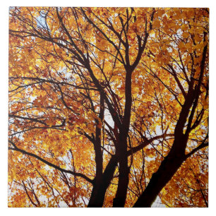 Azulejo Oregon Fall Leaves