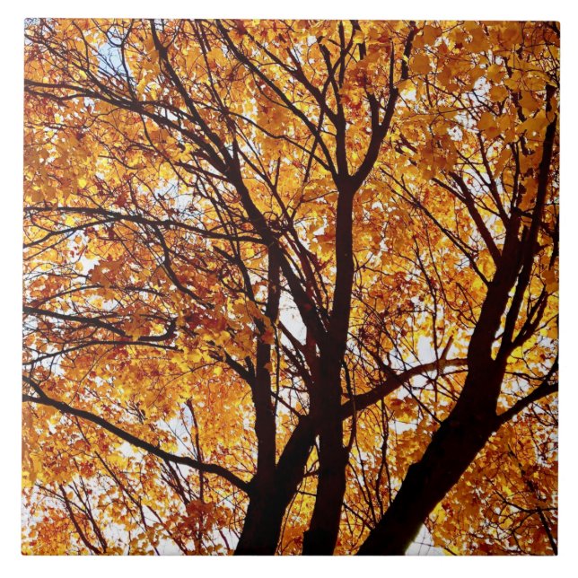 Azulejo Oregon Fall Leaves (Frente)