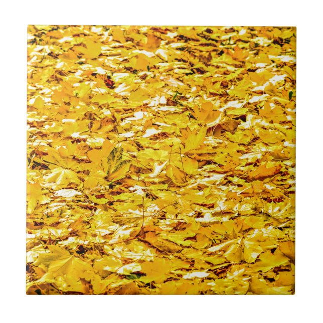 Azulejo Oro De Otoño (Frente)
