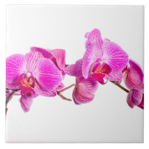Azulejo Orquídea