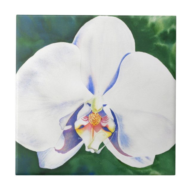 Azulejo Orquídea Blanca (Frente)
