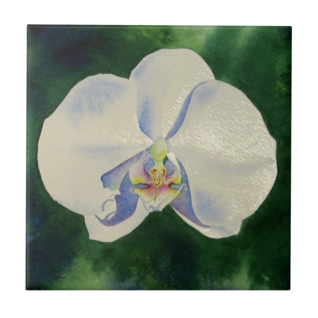 Azulejo Orquídea Blanca (Frente)
