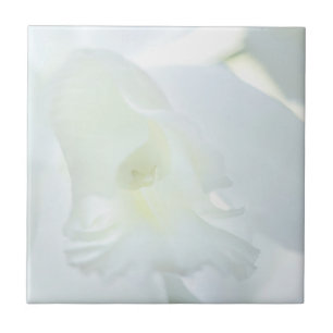 Azulejo Orquídea Blanca