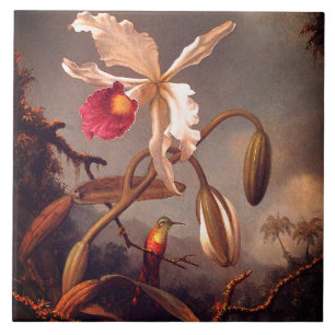Azulejo Orquídea Blanca Brasileña