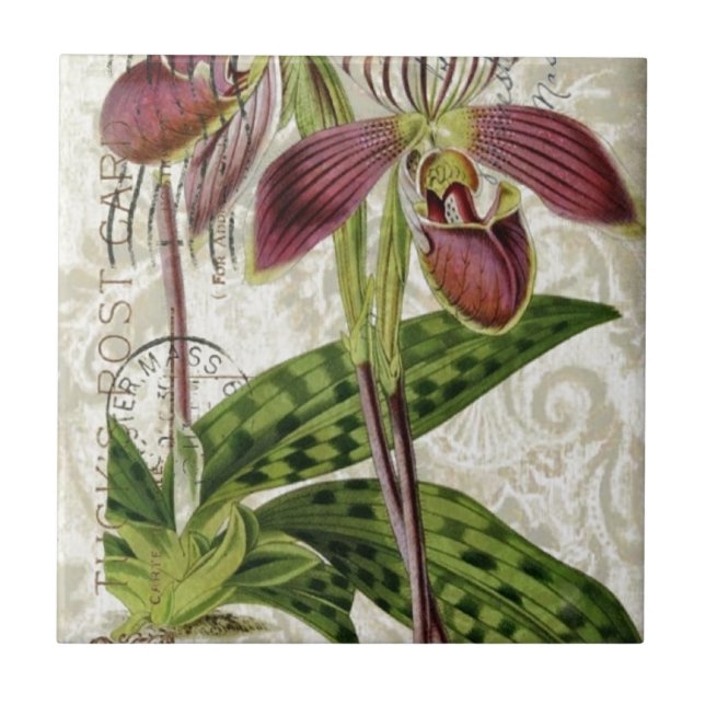 Azulejo orquídea botánica francesa tropical parisiense (Frente)