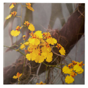 Azulejo Orquídea - Mañana dorada