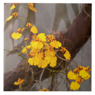Azulejo Orquídea - Mañana dorada