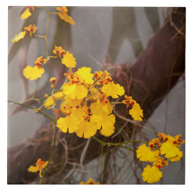 Azulejo Orquídea - Mañana dorada (Frente)