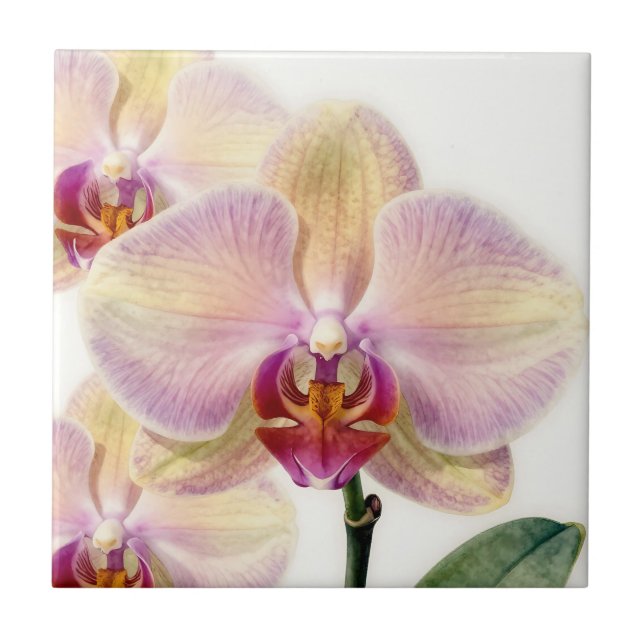 Azulejo Orquídea Morada Pastel Elegante en Flor (Frente)