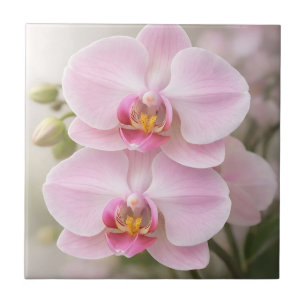 Azulejo Orquídea Phalaenopsis Rosa Suave