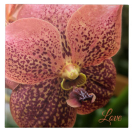 Azulejo Orquídea por la mañana