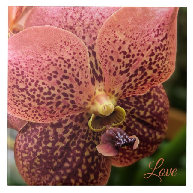 Azulejo Orquídea por la mañana (Frente)