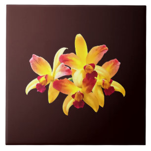Azulejo Orquídeas Amarillas y Marrones Brassolaeliocattley