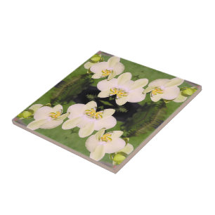 Azulejo Orquídeas blancas sobre fondo verde