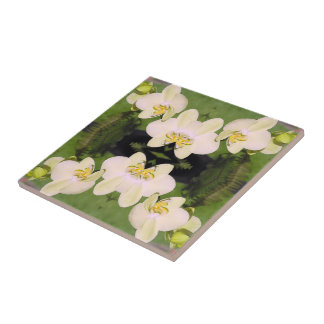 Azulejo Orquídeas blancas sobre fondo verde