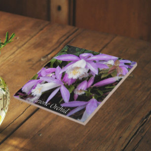 Azulejo Orquídeas Florales Pleione para Alféizar