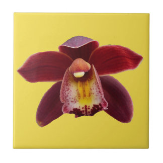 Azulejo Orquídeas Maroon I Hermosa Floral Roja