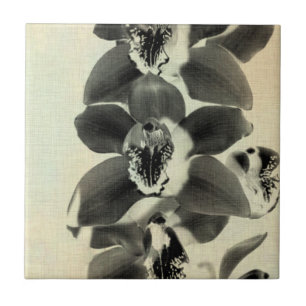 Azulejo Orquídeas Rubor Paneles IV