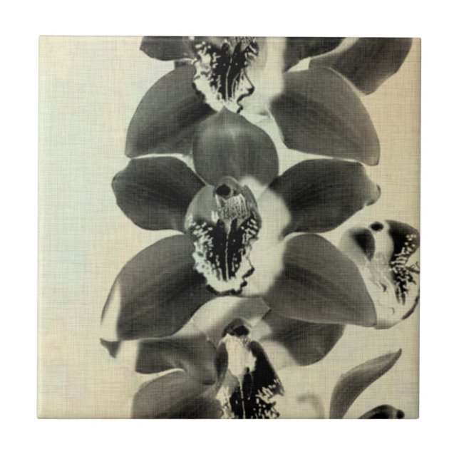 Azulejo Orquídeas Rubor Paneles IV (Frente)