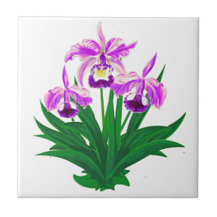 Azulejo Orquídeas silvestres - Orquídeas y follaje púrpura