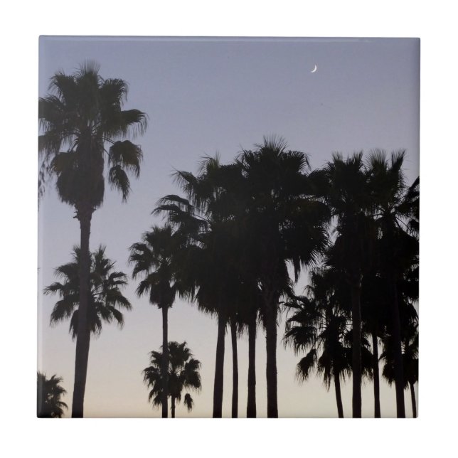 Azulejo Oscuro con la escena tropical de palmeras (Frente)