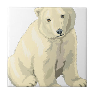 Azulejo Oso Cudiosamente Polar