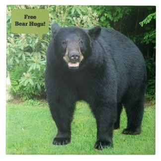 Azulejo Oso Negro - "Abrazos de oso libre - Cubby el oso n