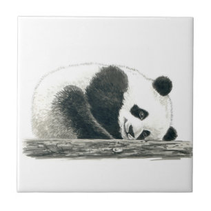 Azulejo Oso panda