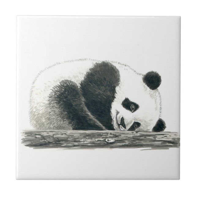 Azulejo Oso panda (Frente)