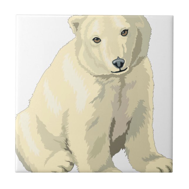 Azulejo Oso Polar Acurrucable (Frente)