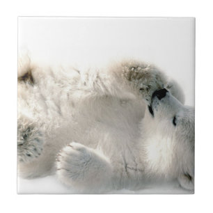 Azulejo Oso Polar Cub Cute Animal Ártico Congelado Inviern