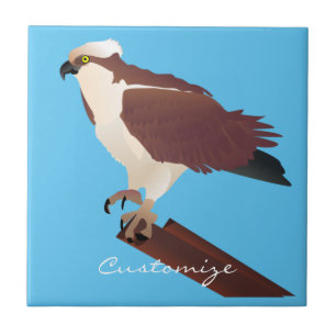 Azulejo Osprey Hawk Raptor Thunder_Cove