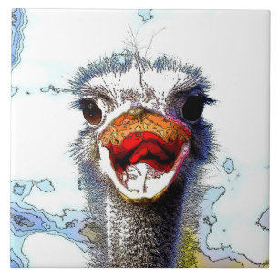 Azulejo Ostrich20150701