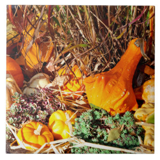 Azulejo Otoño - Calabaza - Sentirse aplastado