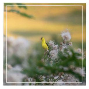 Azulejo Otoño De Goldfinch Y Thistle