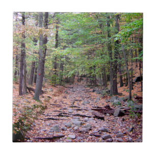 Azulejo Otoño en Blue Hills Reserva Red Dot Trail