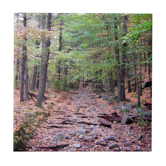 Azulejo Otoño en Blue Hills Reserva Red Dot Trail (Frente)